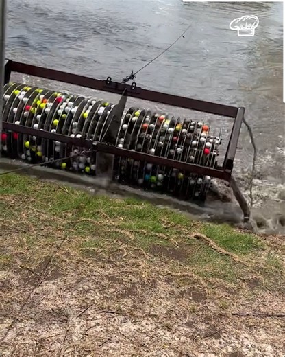 Collecting golf balls from a lake! 🏌️‍♂️ | Foodeos