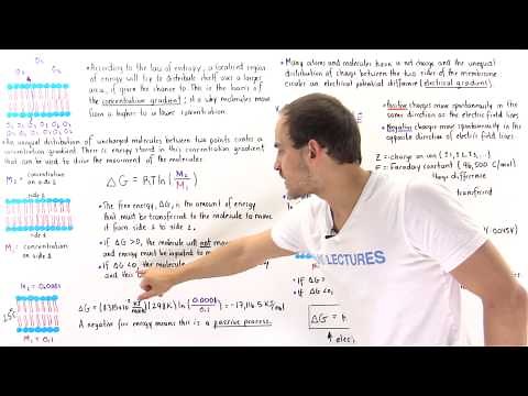 Measuring the Electrochemical Gradient