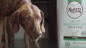 Nutro Brand Sets The Bar for Pet Food With New Food Philosophy | LBBOnline