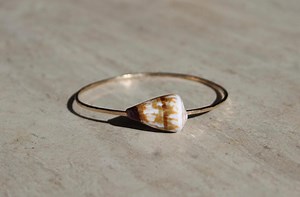 Hawaiian Soldier Cone Shell - Etsy