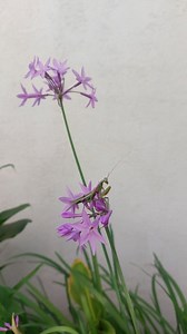 Worship, Cross, Church, Prayer