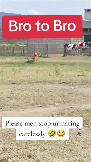 Hilarious Laughing Memes to Brighten Your Day