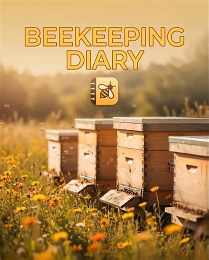 Beekeeping 2.0: Smart Way to Track Every Colony