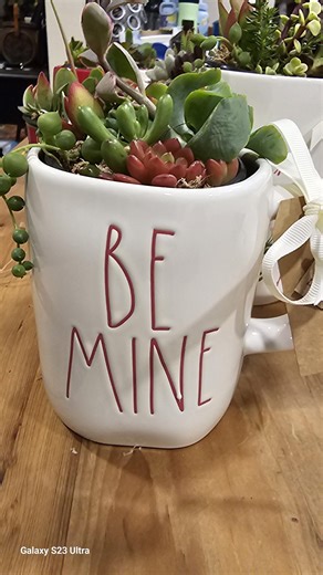 Valentine "be Mine" Rae Dunn Mug With Potted Mini Succulent Garden - Etsy