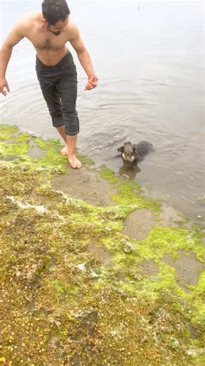 Mission accomplished #wildlife #animalrescue #heroes | People Are Awesome