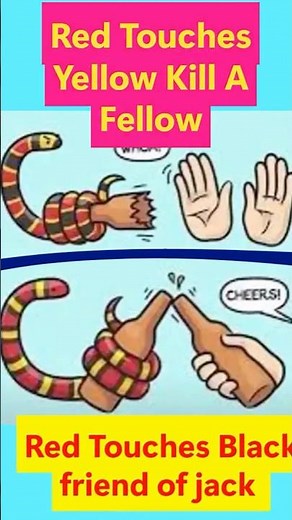 Coral vs King Snake Quick ID Trick