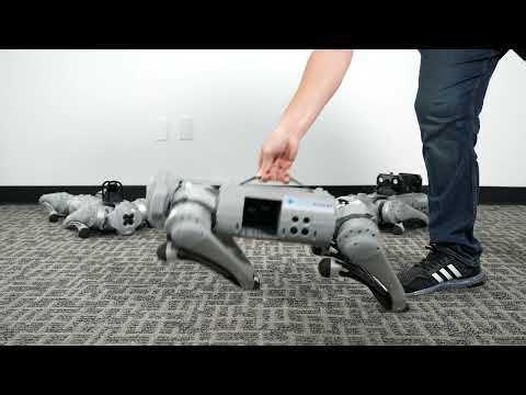 Getting Started with Go1 - Positioning