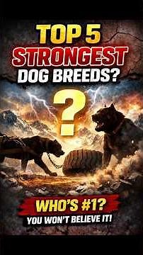 Top 5 Strongest Dog Breeds — #1 Will Shock You 😳