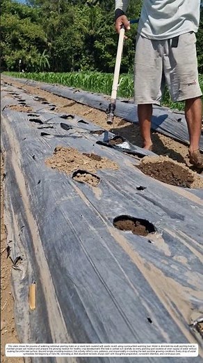 Planting Bed Irrigation: How a Watering Wand Transforms Dry Holes into Ready-to-Plant Sites