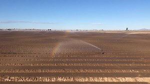 With the drought impacting Arizona, local farmers are doing their part to save water