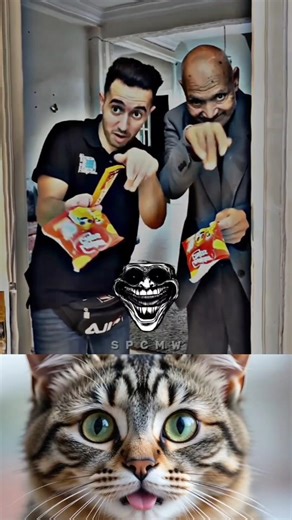 #cat #edit #audio