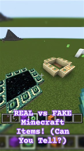 REAL vs FAKE Minecraft Items! (Can You Tell?) #viral