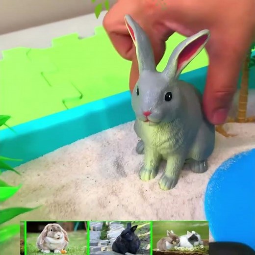 Rabbit Speed Fact! 🐇 Can Run Up to 25 MPH! Farm Animals