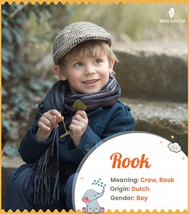 Rook Baby Name Meaning, History, And Popularity Guide Name Meaning, Origin, History, And Popularity