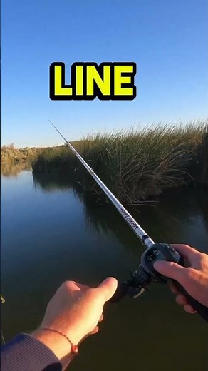 Baitcaster Vs Spinning Reel #bassfishing
