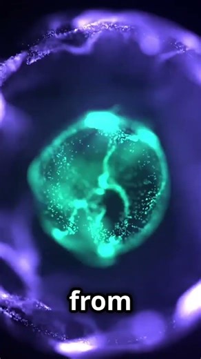 Humans emit small amounts of light