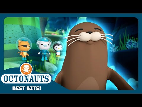 ‪@Octonauts‬ - 🛟 Harry the Harbor Seal 🦭 | Season 3 | Best Bits! | Underwater Sea Education