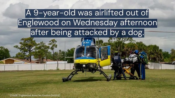9-year-old airlifted to Tampa General Hospital after dog attack