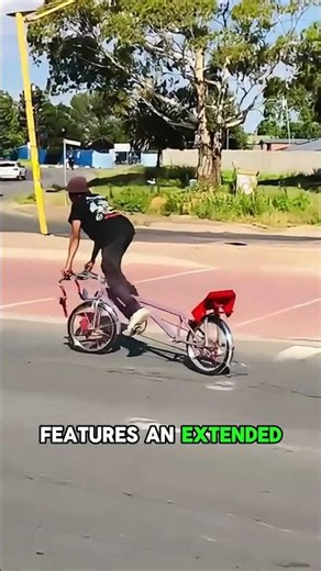 Stance Bike Or Spine Bike