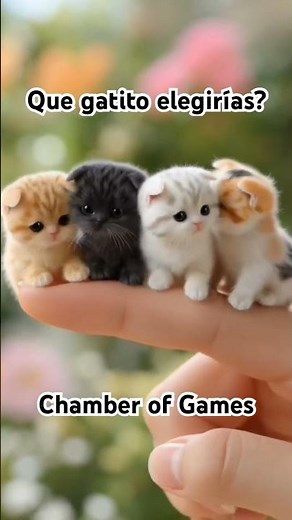 Me dejarías ser parte de tu familia? #gatos #gatitos #gatitostiernos #gatoshermosos #gatitoshermosos