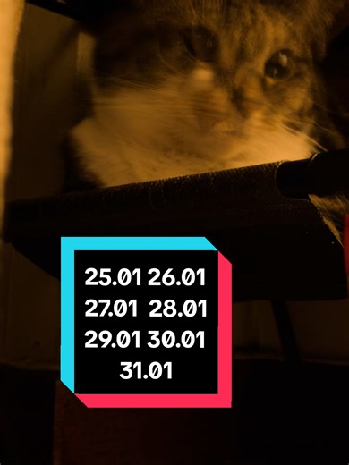 Audio Issues and Blurry Moments Explained