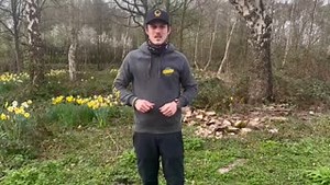 A quick run down of the Husqvarna 216T AWD ride on lawnmower and some of the top features 👍 📞Call us now to order. | Honey Brothers Ltd - Arboricultural Equipment Specialists