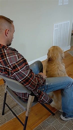 🌟 Training Highlight: The POWER of Focus! 🌟 Today’s training demo shows one of the most important foundations for every Service Dog in Training — FOCUS. When a dog learns to consistently give calm, intentional attention to their handler, everything else becomes possible: ✔️ Better obedience ✔️ Stronger communication ✔️ Reduced anxiety ✔️ Faster learning ✔️ A deeper working bond At Renewed Hope Canines of Virginia, we use positive reinforcement, Cynopraxic principles, and LIMA-based methods to 