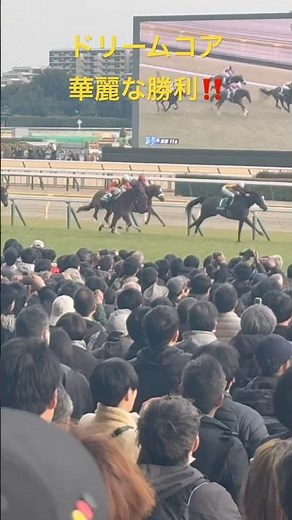 [On-site horse racing footage] Dream Core's brilliant victory! Queen's Cup 2026.2.14