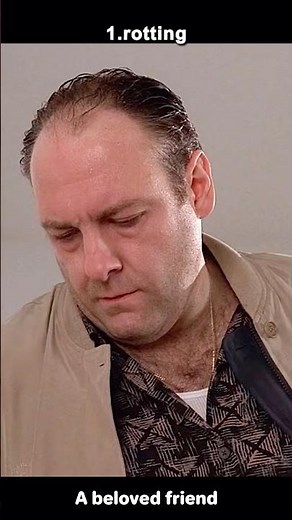 💥 “A BUG IN MY CIGAR BOX. A RAT IN MY FAMILY.” | The Sopranos S2E13 #movie #short