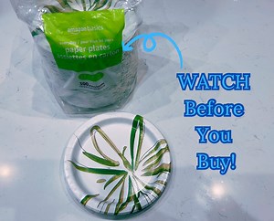 Watch Honest Review of Amazon Basics Paper Plates on Amazon Live