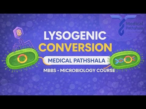 🧬 Lysogenic Conversion | MBBS Microbiology | Medical Pathshala