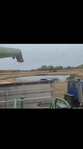 5.5K views · 141 reactions | Upright silo #1 is full of high moisture corn, on to filling the other silo. | Dettmann Dairy Farms | Facebook