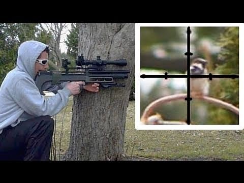 English Sparrow (pest) eradication from bird feeder