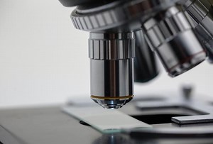 2020: Los principales hitos de la ciencia en este año