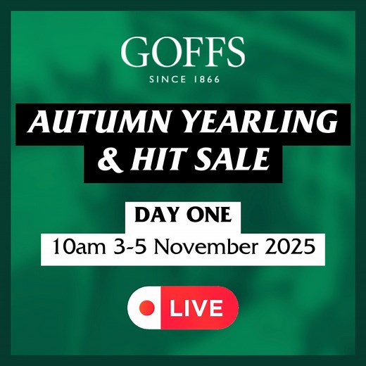 Goffs Autumn HIT & Yearling Sale kicks off today. 🍂 Day One features HIT & yearlings from 10am. Now is the time to secure your future winner! ✅ 🗓️ 3 Nov HIT: bit.ly/47e6LWL 🗓️ 3-5 Nov Yearlings: bit.ly/4nGoXzd | Irish Thoroughbred Marketing (ITM)