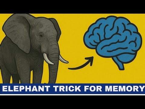 How to Incorporate the Elephant Trick Into Your Daily Routine for Better Memory