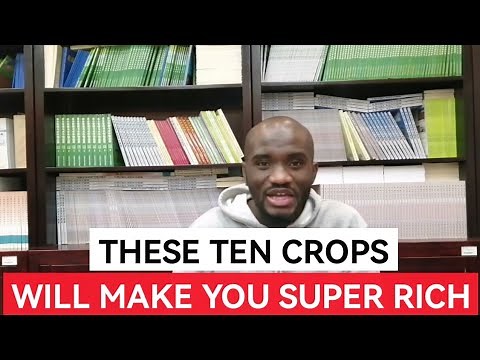 Top 10 Crops That Will Make You Rich | Highly Profitable Crops
