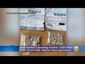 Seed Packets Containing Invasive, ‘Alien’ Plant Species From China Could ‘Destroy Texas Agriculture’