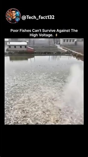 High Voltage Over Frozen Waters ⚡🐟 (You Won’t Believe This Risk!) #engineering #electricity #viral