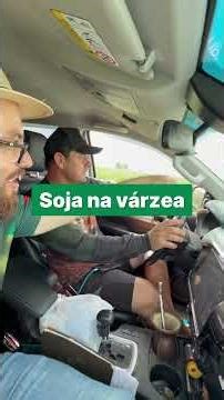 Soybeans in the floodplain with producer Fábio Eckert