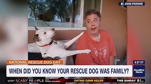 10K views · 552 reactions |  Thank you for ALL your amazing #NationalRescueDogDay pics and posts! Between here and Twitter, you sent in hundreds of pics and told such sweet stories. A great reminder that there are some SWEET doggos in shelters and being fostered until they can find their #foreverhome! | Robin Meade | Facebook