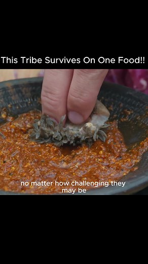 This Tribe Survives On One Food!! #tribe #food #adventure #fyp #foryou #show #foodreview #besteverfoodreviewshow