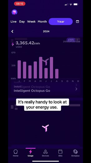 Monitoring Energy Usage with Octopus Energy App