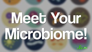 24K views · 154 reactions | Your body has about as many microbial cells as human cells. | SciShow | Facebook