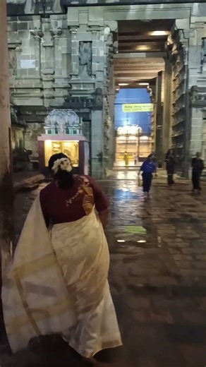 chidambaram LORD NATARAJA temple#natarajamurthy #lordnataraja #chidambaram#kuchipudidancer