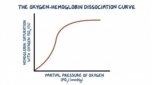 Video: Oxygen-hemoglobin dissociation curve - Video Explanation! | Osmosis | Osmosis