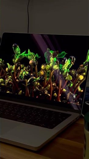 MacBook Pro m5 screen #macbook #macbookpro test are darks really dark