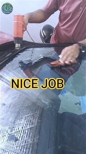 Perfect Front Glass Tint Fixing | Smooth Finish Like a Pro 😍 #shorts #shortsfeed