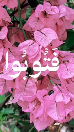 سورة البقرة "اللهم اجعلنا من أهل القرآن وخاصته."#سورةالبقرة #ايات_من_الذكر_الحكيم#سور_القرآن_الكريم