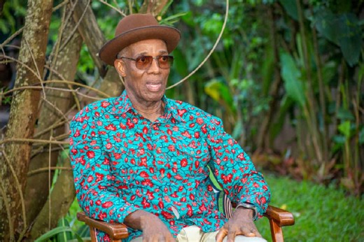 Ghana must clean up utility finances to win in regional power trade – Amissah-Arthur